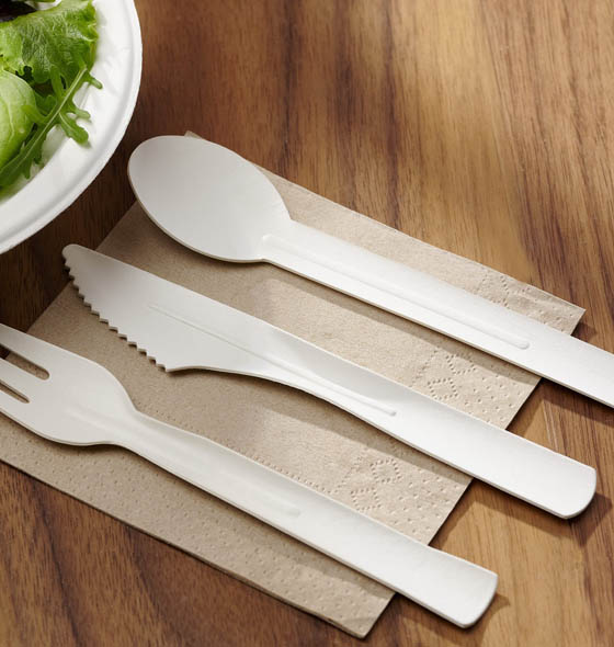 PLA knife, fork and spoon